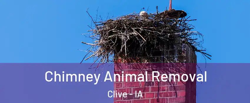  Chimney Animal Removal Clive - IA