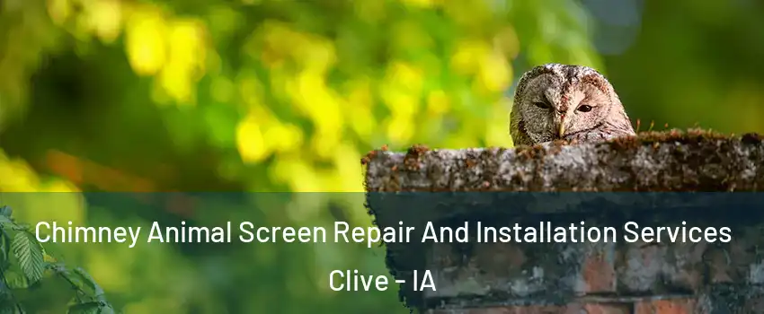  Chimney Animal Screen Repair And Installation Services Clive - IA