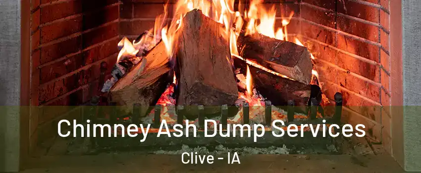  Chimney Ash Dump Services Clive - IA