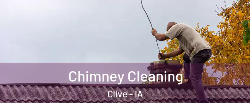  Chimney Cleaning Clive - IA