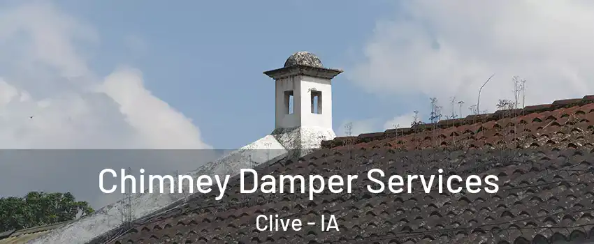  Chimney Damper Services Clive - IA