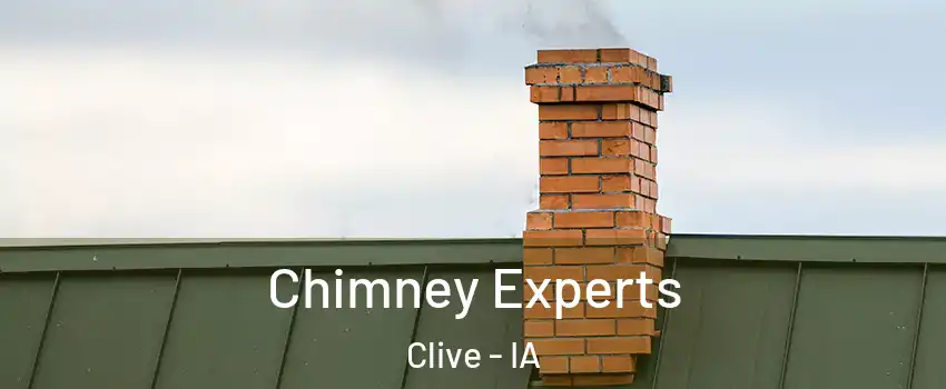 Chimney Experts Clive - IA