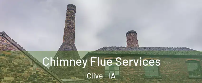  Chimney Flue Services Clive - IA
