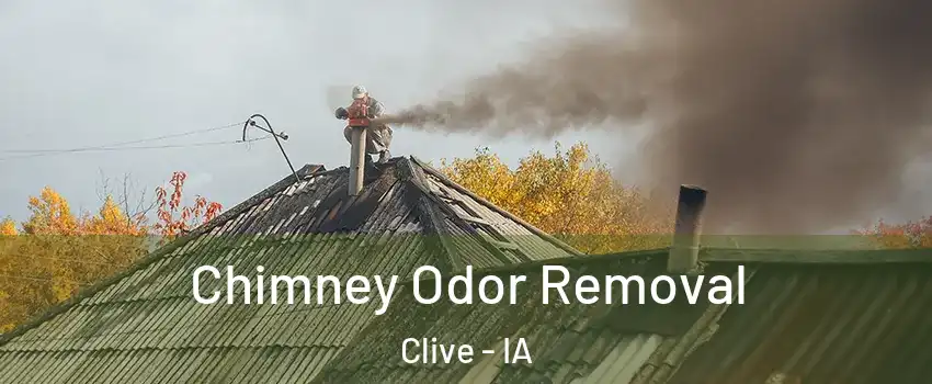  Chimney Odor Removal Clive - IA