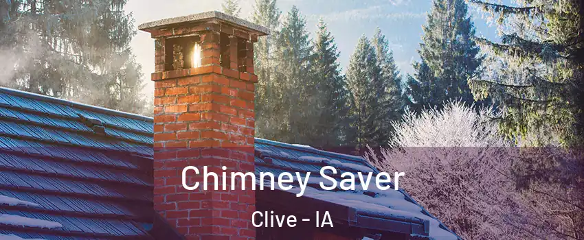  Chimney Saver Clive - IA