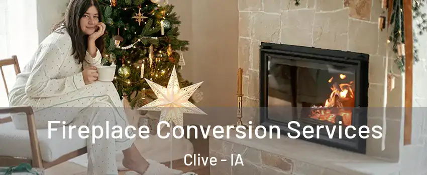  Fireplace Conversion Services Clive - IA