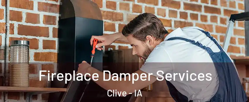  Fireplace Damper Services Clive - IA