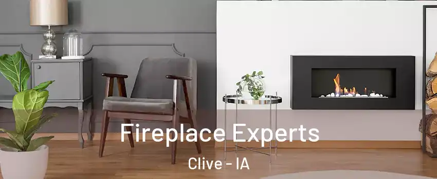  Fireplace Experts Clive - IA