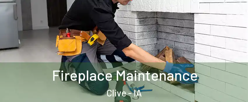  Fireplace Maintenance Clive - IA