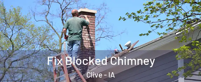  Fix Blocked Chimney Clive - IA