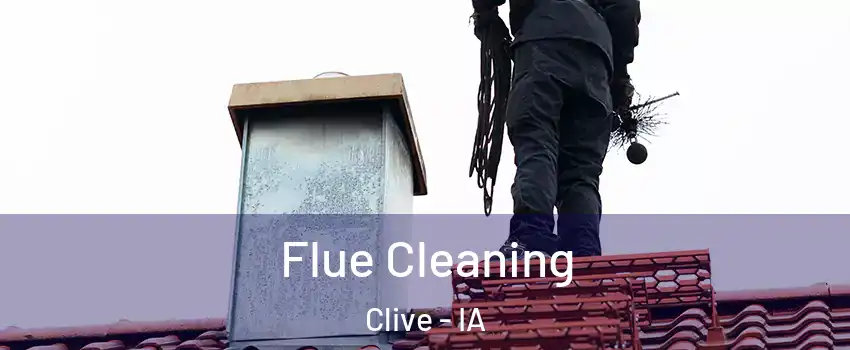  Flue Cleaning Clive - IA