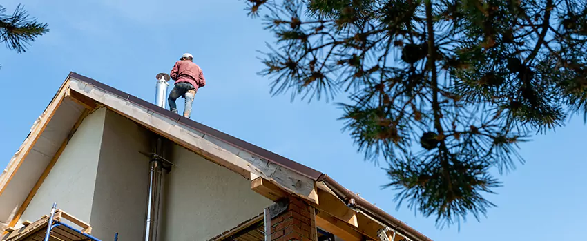 Birds Removal Contractors from Chimney in Clive, IA
