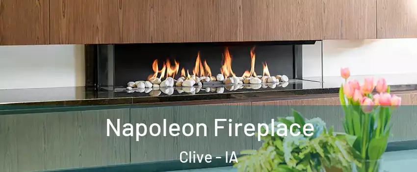  Napoleon Fireplace Clive - IA