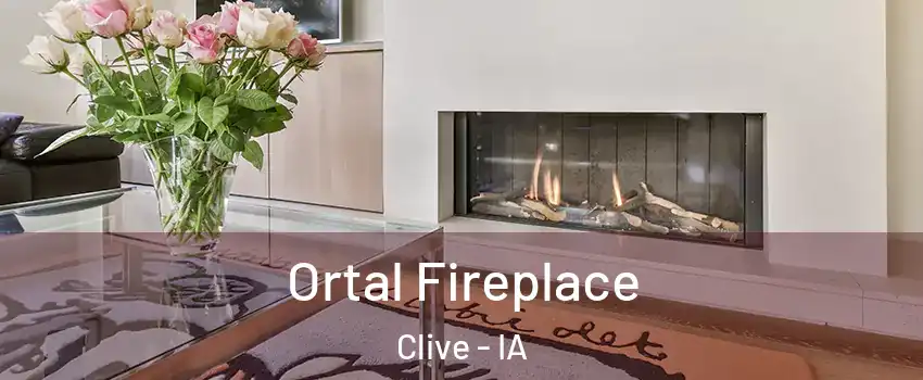  Ortal Fireplace Clive - IA