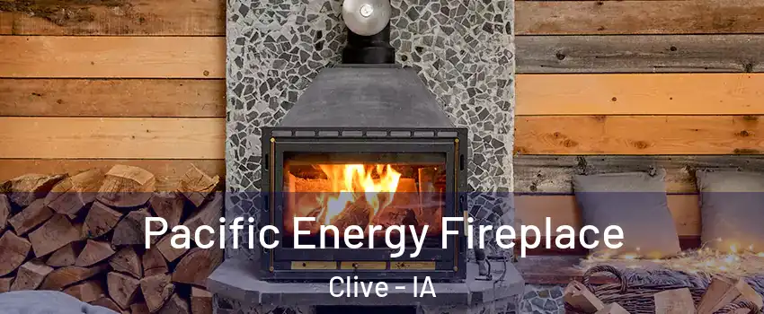 Pacific Energy Fireplace Clive - IA
