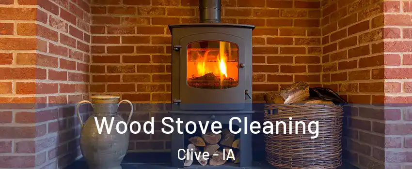  Wood Stove Cleaning Clive - IA